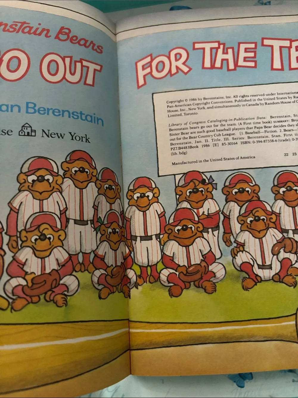 The Berenstain Bears Go Out for the Team